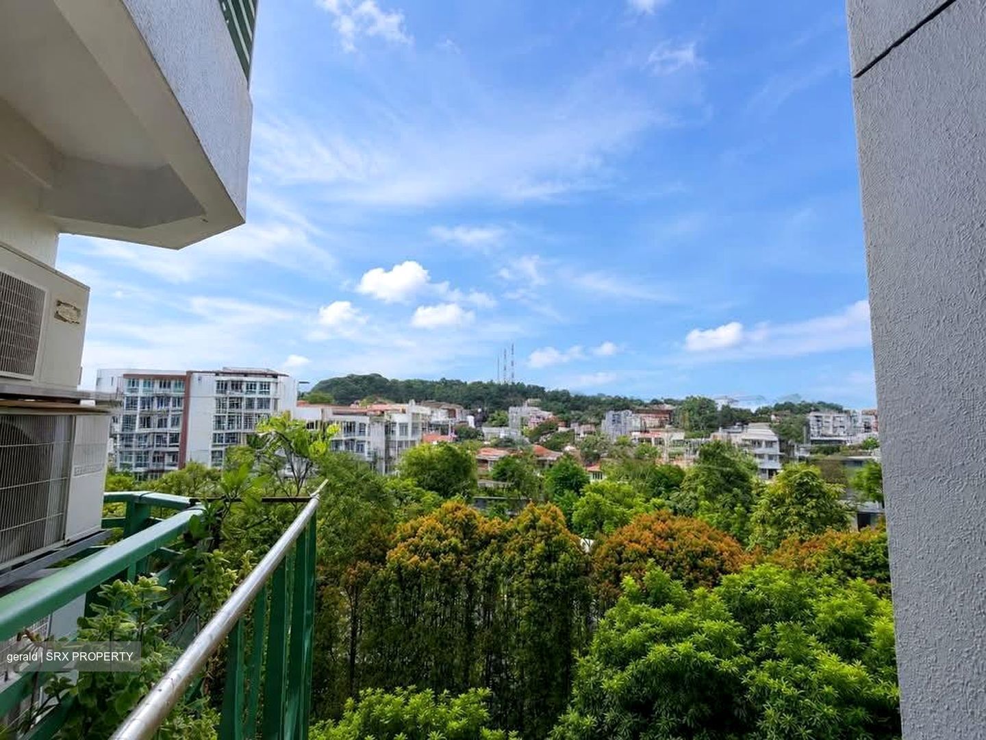 Signature Park (D21), Condominium #605791411